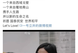 日麻皮视频,揭秘日本麻将的魅力与技巧