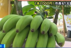 大香蕉最新视频,揭秘神秘剧情，带你领略视觉盛宴