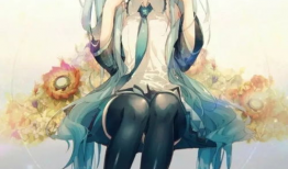 初音未来的动漫,音乐精灵的奇幻之旅