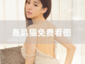 黑人免费视频,免费视频带你领略多元世界