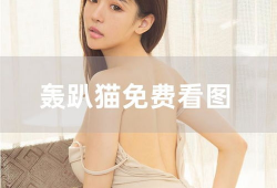 黑人免费视频,免费视频带你领略多元世界