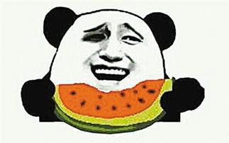 什么叫吃瓜群众视频